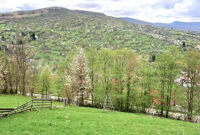 Teren cu priveliste panoramica , 2 deschideri la sosea asfaltata Teren cu priveliste panoramica , 2 deschideri la sosea asfaltata - 9