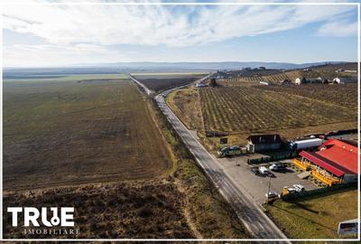 Teren Construcții intravilan de 1000 mp, în Nord - 13