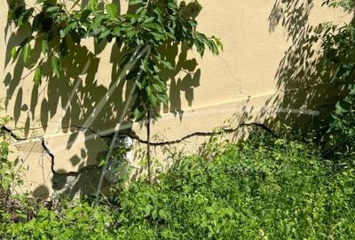 Teren intravilan cu casa- 1740 mp. in Provita de Sus-PH - 19