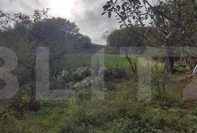 Casa de vanzare, 3 camere, 4663 mp teren, CF, Sat Barai - 12