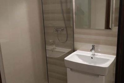 Garsonieră în Rosetti - 2