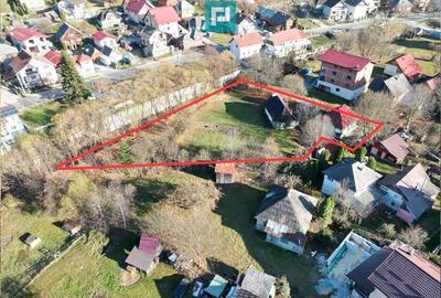 Casa de lemn, cu teren in Bor?a - 5