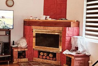 Casă cu Teren 2000 Mp în Dealu Negru - 4