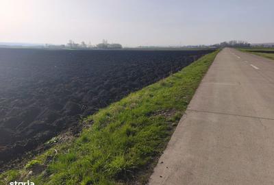 Teren de 9300 mp, în Satu Mare