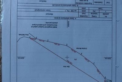 Teren de 16500 mp, în Tomești - 6