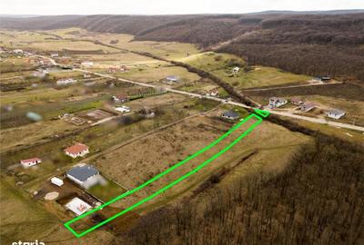 Spațiu comercial, în Betfia - 6