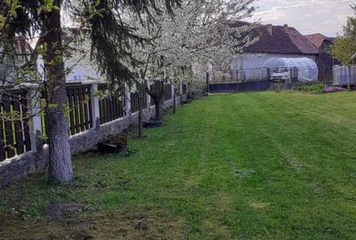 Casă individuală cu 4 camere cu Teren 2900 Mp în Vărgata - 6