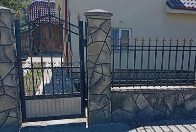 Casă cu 1 camere cu Teren 5500 Mp în Cacica - 3
