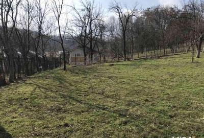 Teren de 1660 mp, în Teișani - 4