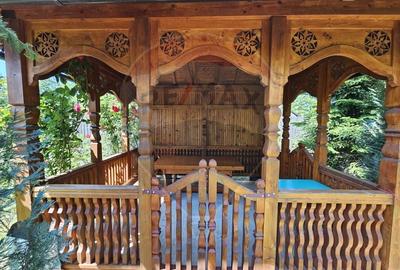 Casa / Vila cu 6 camere de vanzare - CORNU - 11