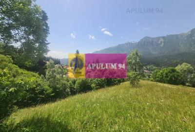 Teren de vânzare în Bușteni - Zona Zamora - 14