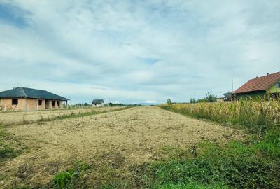 Spațiu comercial, în Micula - 4