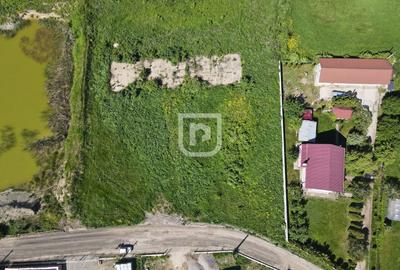 Teren Construcții intravilan de 4844 mp, în Șcheia - 6