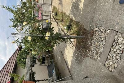 Casă cu 3 camere cu Teren 1400 Mp în Central - 4