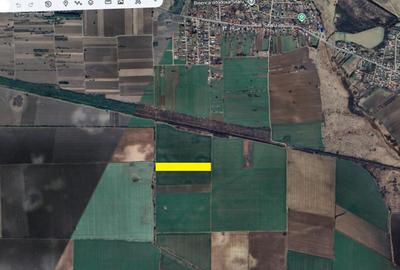 Teren agricol extravilan de 22235 mp, în Grădiștea - 3