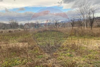 Comision 0! Casa din inima Subcarpaților — comuna Cislau, teren 5000mp - 15