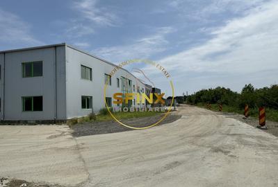 Hala si birouri zona Mogosoaia sos Odai - 19