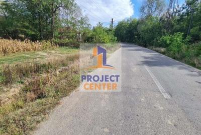 Teren intravilan 3835 mp, stradal, Babana - 1