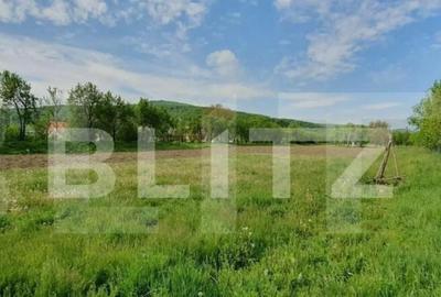 Casa individuala, 80 mp, teren 13000 mp, intrare in Dej - 2