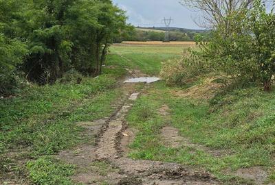 Teren de 58000 mp, în Mărtinești - 3