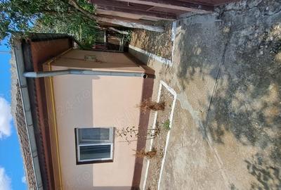 Casă cu 5 camere în Central - 2