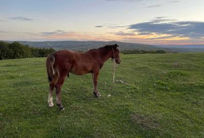 Spațiu comercial, în Pietrăria - 4