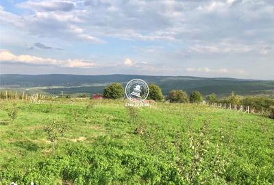 Teren de 6200 mp, în Mogoșești - 16