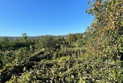 Casa individuala + anexa si gospodarie , 247 mp , 3 nivele, 1669 gradina, Gilau - 15