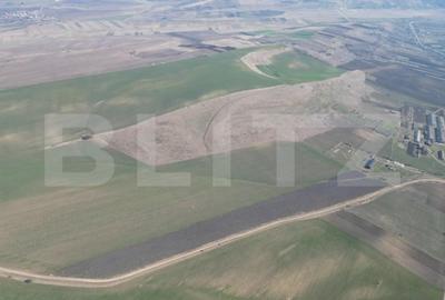 Teren de 45000 mp, în Dobrovăț - 3