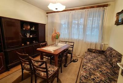 Campia-Libertatii-Parc Gh. Petrascu - 5