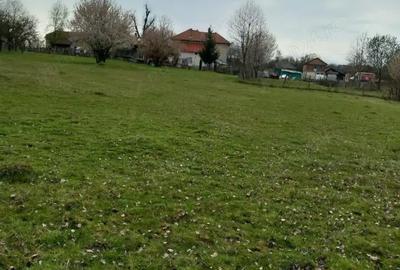 Teren de 4000 mp, în Central