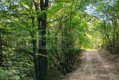 Spațiu comercial, în Poiana Ampoiului - 1