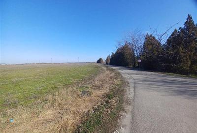 Teren Construcții intravilan de 125000 mp, în Cuza Vodă - 3