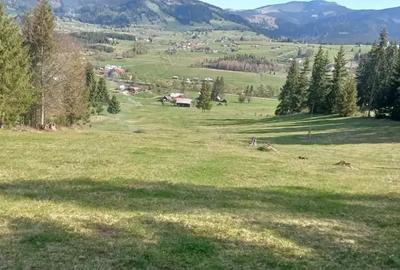 Teren de 28307 mp, în Coșna - 6