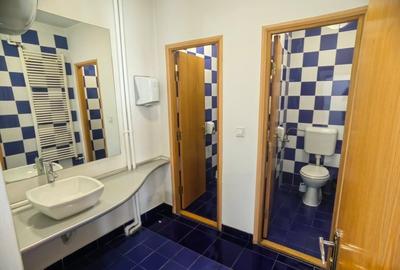 Vanzare imobil casa stirbei voda cismigiu metrou eroilor - 14