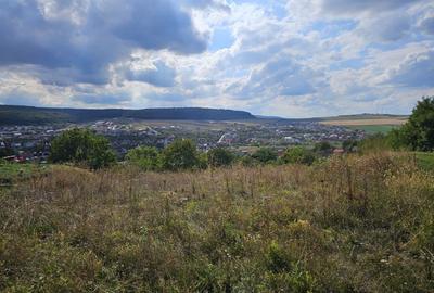 Teren cu autorizatie pentru doua case in Chinteni - 8