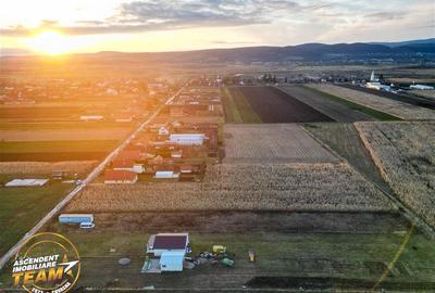 Teren Construcții intravilan de 2493 mp, în Chilieni - 1