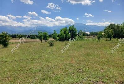 Teren intravilan 5000 mp pe Valea Avrigului, Sibiu - 6