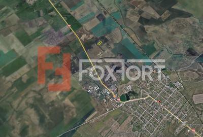 COMISION 0% Teren extravilan pretabil agricol, Sacalaz - Oportunitate investitie - 3