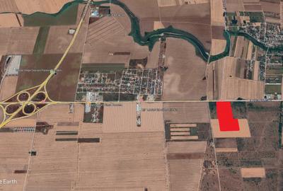 Teren Construcții extravilan de 75800 mp, în Popești-Leordeni - 2