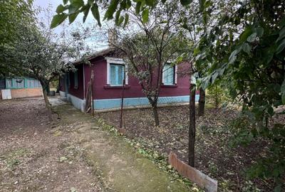 De vânzare casă la țară comuna Sohatu - 1