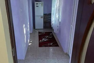 Casă cu 3 camere cu Teren 3850 Mp în Mitoc - 3