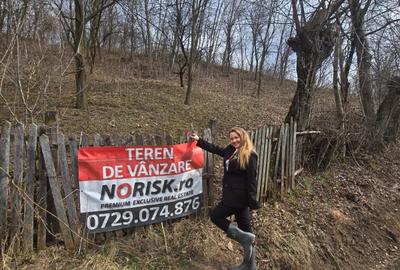 Teren Construcții intravilan de 3485 mp, în Cerașu - 6