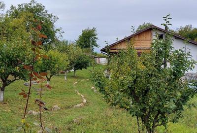CASĂ (CĂRĂMIDĂ, TENCUIELI  ARGILĂ) - 4