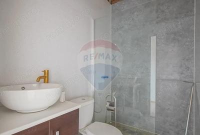 PROPRIETATE VERSATILA INVESTITIE BOD-PENSIUNE/CAMIN DE BATRANI/SPA - 3