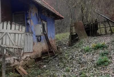 Vand casa ?araneasca din lemn. - 4