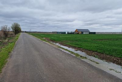 TEREN DE VANZARE DRAGOMIRESTI VALE - 2