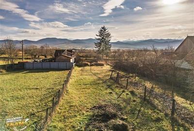 FILM! Casa cu sura, pivnita, balta cu pesti, 2.280 mp teren roditor, Lemnia, Cov - 7