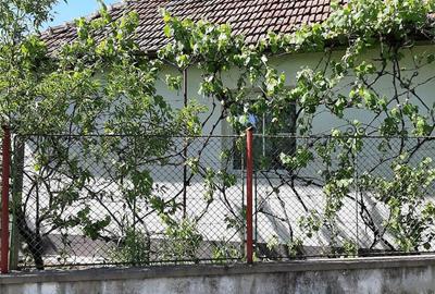 Casă cu 5 camere cu Teren 3500 Mp în Sântana - 1