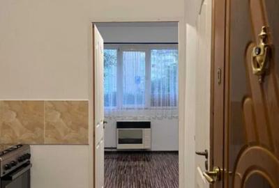 Camera de camin cu baie si bucatarie - zona Noua - 2